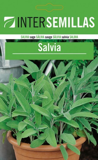 SC Salvia