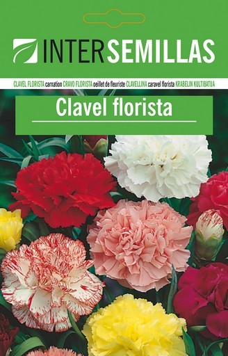 SC Clavel Florista