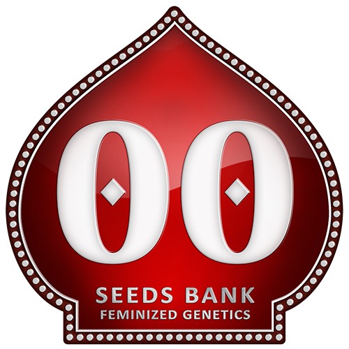 00 Kush 3 Fem 00 Seeds