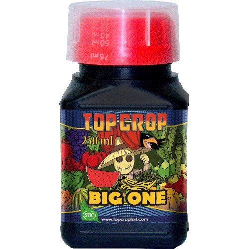 Big One 250 ml Top Crop (12 u/c)