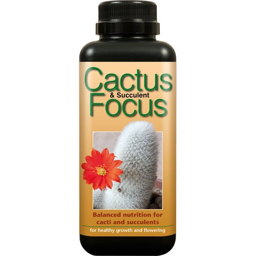 Cactus Focus 300 ml Growth T(12 u/c)*