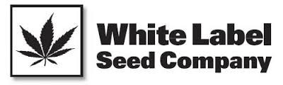 White Widow 10 Reg White Label