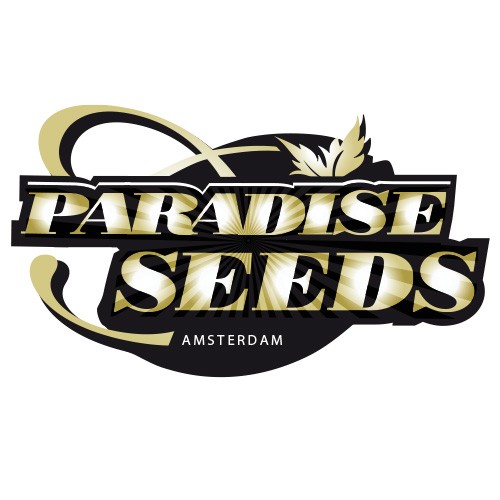 Jacky White 5 Fem Paradise Seeds
