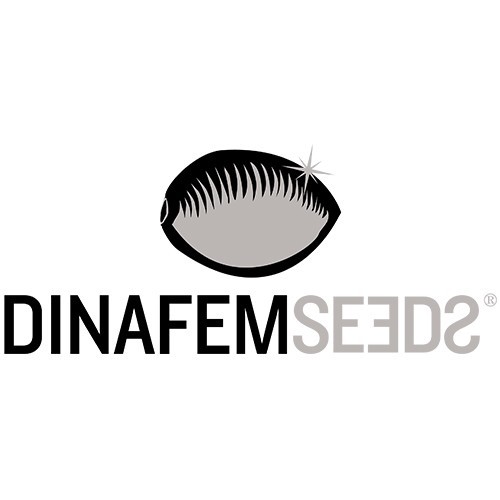 Dinachem 1 Fem DNF