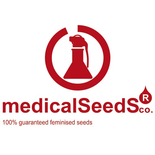 Channel + 10 Fem Medical Seeds