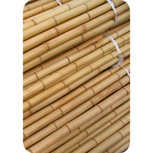 Tutor Bambú 105 cm 8/10, 20uds (500u/f)
