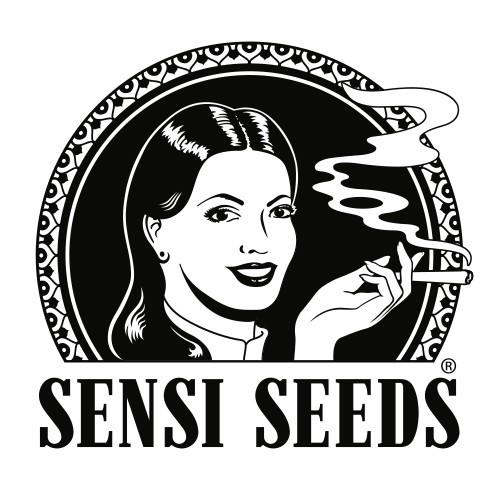 Shiva Shanti 2 10 Reg Sensi Seeds