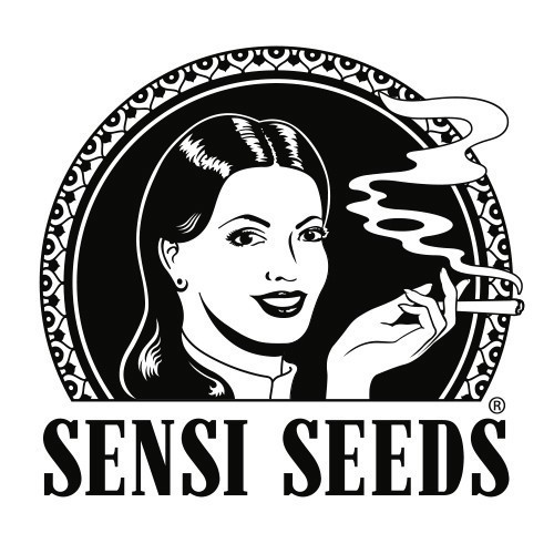 Hash Plant 10 Reg Sensi Seeds