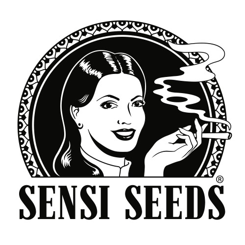 Caramellow Kush Auto 10 Fem Sensi Seeds