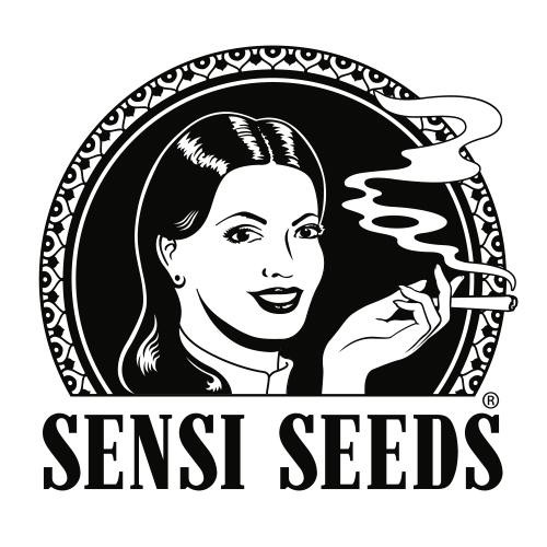 Afghani 1 10 Fem Sensi Seeds