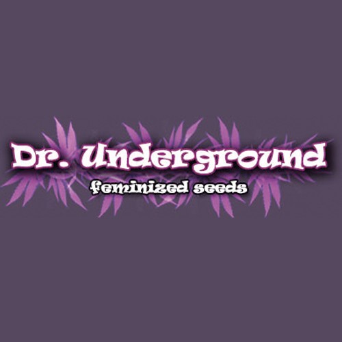 Crystal METH 4 Fem Dr Underground