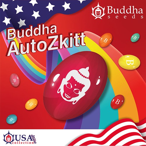 Buddha Auto Zkitt 3+1 Fem Buddha Seeds