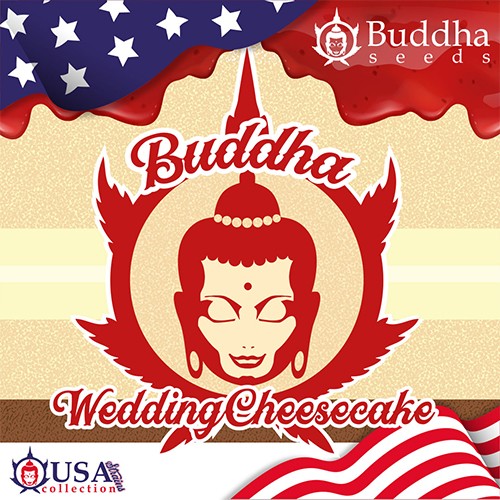 Buddha Wedding Cheesecake 3+1 Fem BS