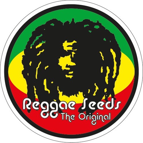 Kalijah 7 Reg Reggae Seeds