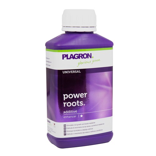 Power Roots 250 ml Plagron (32 u/c)