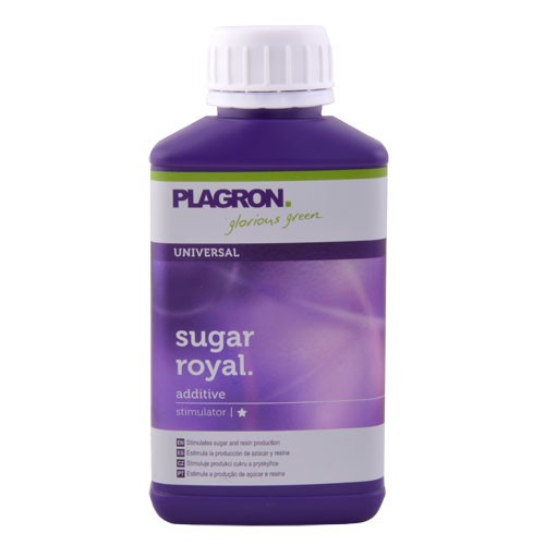 Sugar Royal 100 ml Plagron (48 u/c)