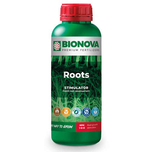 BN Roots 250 cc Bio Nova (20 u/c)