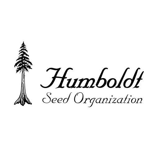 OG Kush Auto 5 Fem Humboldt Seed