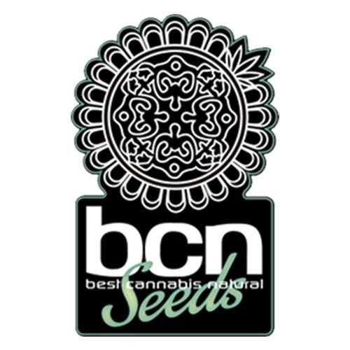 CBD White 1 Fem BCN Seeds*