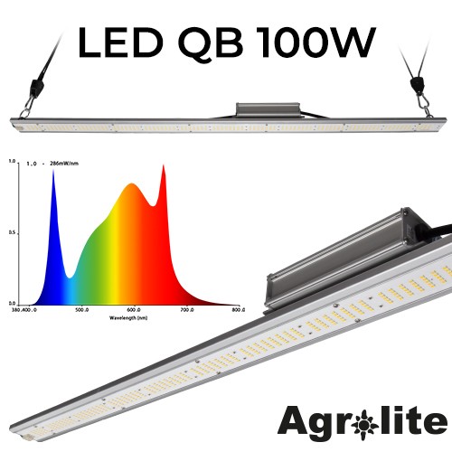 Kit Agrolite LED QB 100W