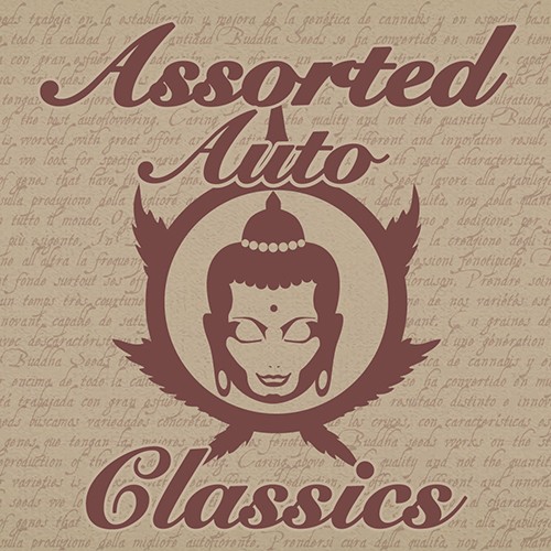 Buddha Assorted Auto Classics 10 Fem BS