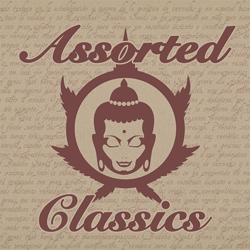 Buddha Assorted Classics 10 Fem BS