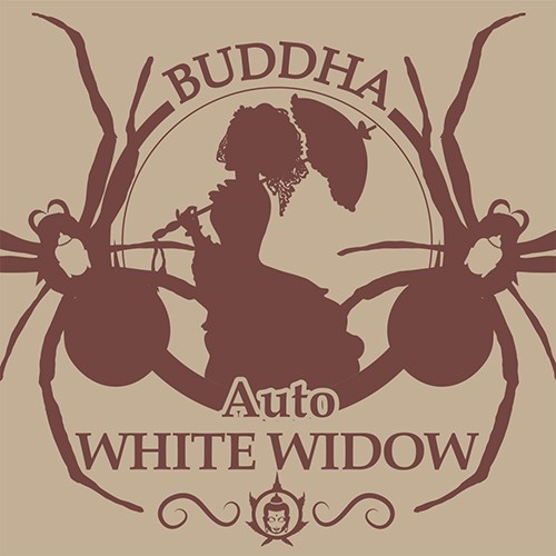 Buddha Auto White Widow Classic 50Fem BS