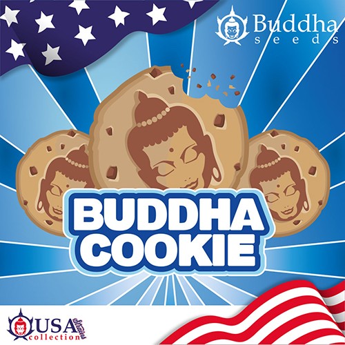 Buddha Cookie 50 Fem Buddha Seeds