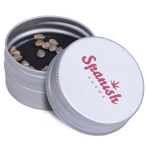 Skunk x Critical 50 Fem Spanish Seeds