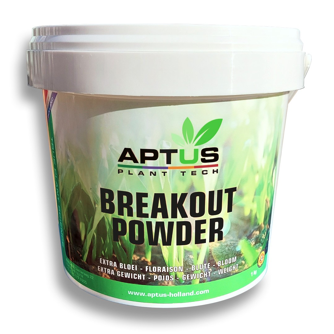 Breakout Powder 1 Kg Aptus (6u/c)