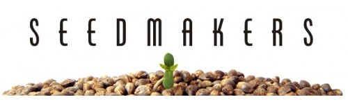 Automax 5 Fem Seedmakers