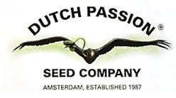 The Ultimate 1 Fem Dutch Passion