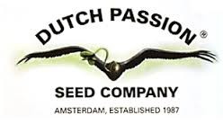 Hollands Hope 3 Fem Dutch Passion