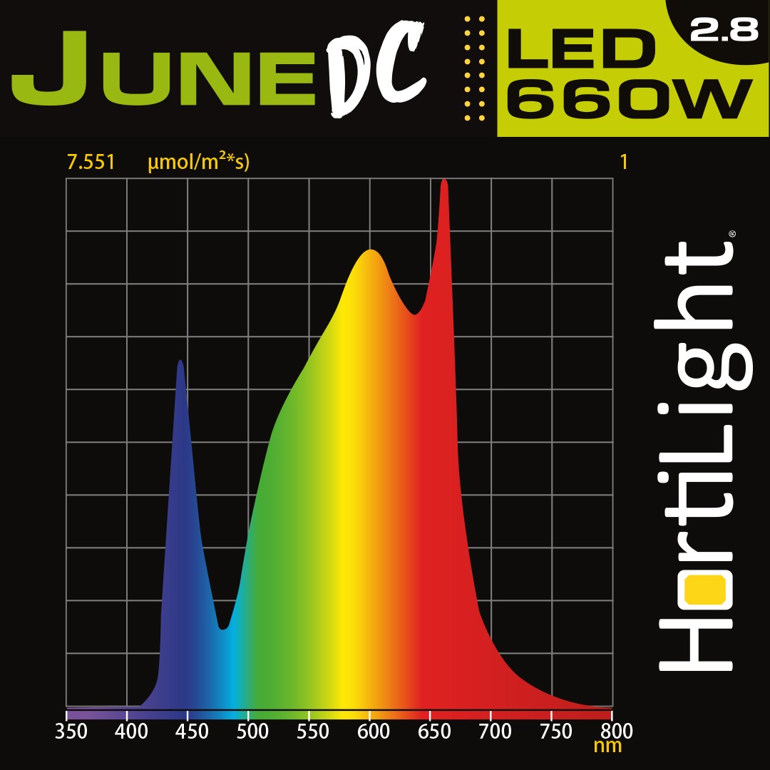 June DC LED Six Bar 660W Hortilight