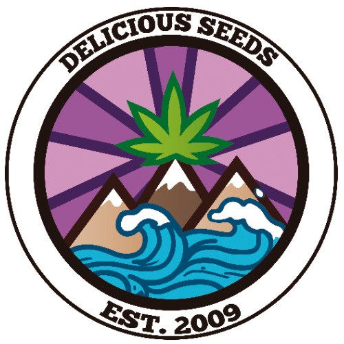 Delimed CBD Plus 3 FemDelicious Seeds