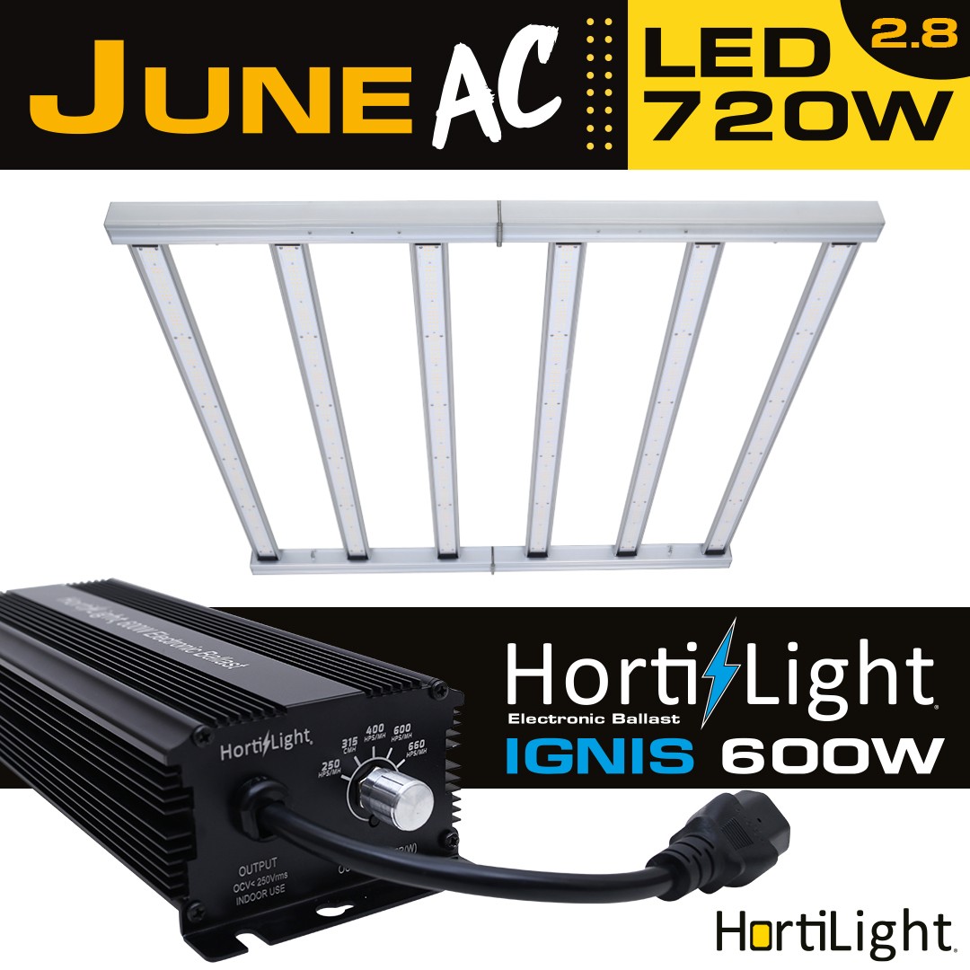 June AC LED Six Bar 720 Hortilight+Bal