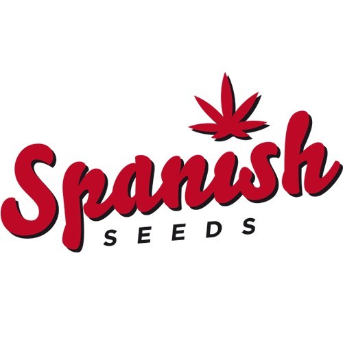 OG Kush x Ak 50 Fem Spanish Seeds